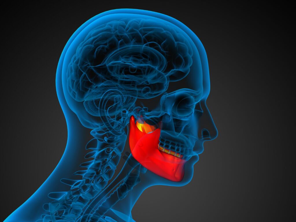 3d cross section illustration of a person with the jaw region highlighted